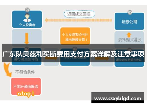 广东队贝兹利买断费用支付方案详解及注意事项
