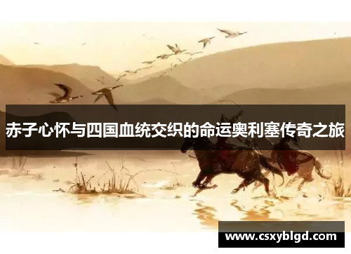 赤子心怀与四国血统交织的命运奥利塞传奇之旅